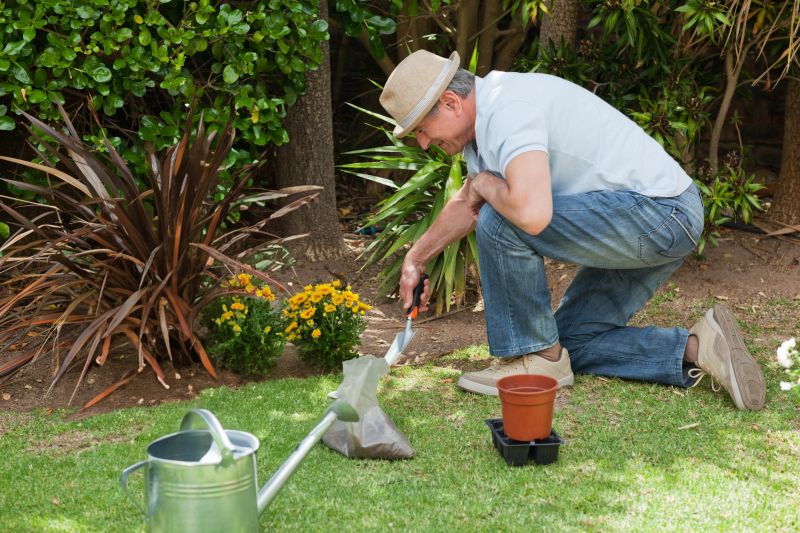 Chrysanthemum Garden