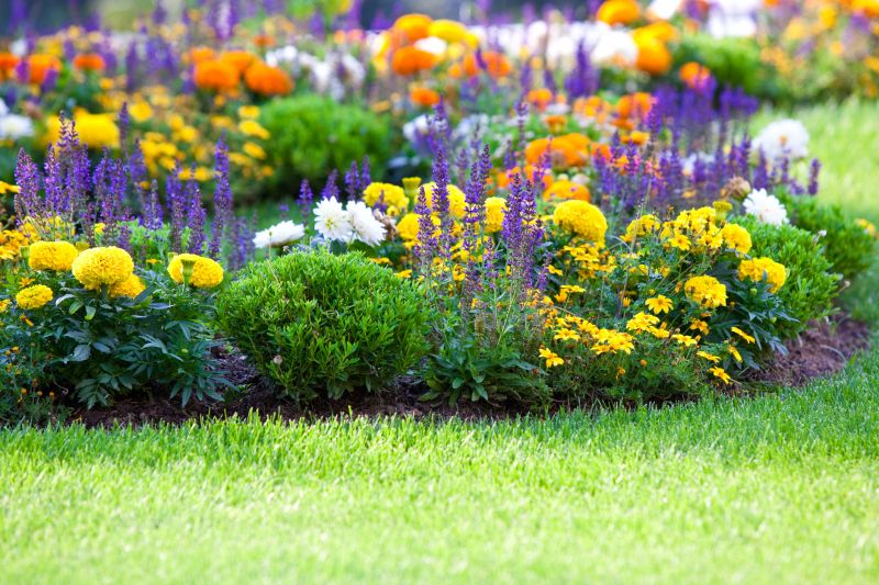 Colorful Flower Beds