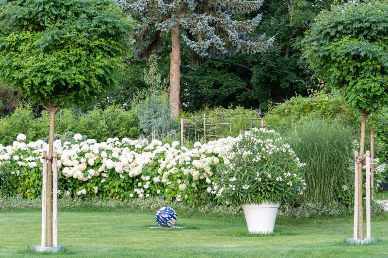 Lush Lawns and Plantings