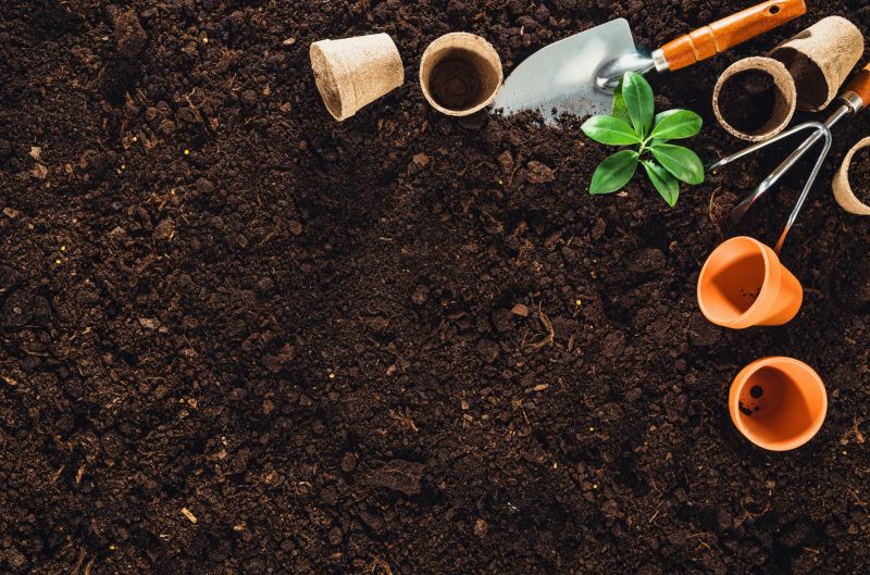 Garden Planning Consultation